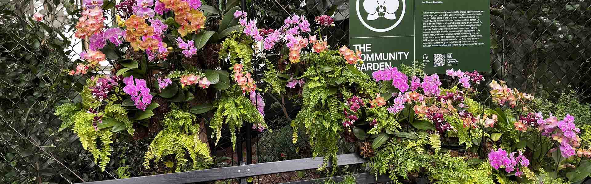 NYBG orchid show exhibit